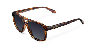 Lentes de Sol - Dara Tigris Carbon